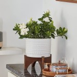 Ceramic Planter with Wood Stand 8 Inch White Cylinder Embossed Hobnail Patterned Flower Plant Pot Indoor