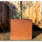 Corten Steel Planter Box by DIY CARTEL Industrial & Heavy Duty Modern Farmhouse Rustic Design Outdoor Metal Plant Box for Commercial Residential Use 26in x 26in x 26in