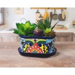 ENCHANTED TALAVERA Small Ceramic Succulent Pot Mini Flower Planter Cactus Bonsai Pot W Drainage & Drip Dish Home Garden Office Desk Décor Gift Set Multi Color
