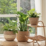 Flower Pots Outdoor Indoor Garden Planters,Plant Containers with Drain Hole US07-PL-064ANWMSEP3