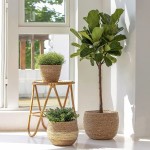 Flower Pots Outdoor Indoor Garden Planters,Plant Containers with Drain Hole US07-PL-064ANWMSEP3