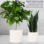 Fox & Fern 15" Large Planter Fits Plant Stand Drainage Plug Indoor Outdoor Matte White