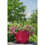 Garden Elements Glazed Brushed Happy Large Plastic Planter Bright Pink 15"