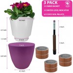 Gardenix Decor 7'' Self Watering planters for Indoor Plants Flower Pot with Water Level Indicator for Plants Grow Tracking Tool Self Watering Planter Plant Pot Coco Coir Purple 3 Pack