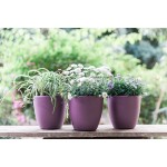 Gardenix Decor 7'' Self Watering planters for Indoor Plants Flower Pot with Water Level Indicator for Plants Grow Tracking Tool Self Watering Planter Plant Pot Coco Coir Purple 3 Pack