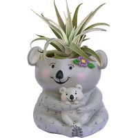 GFF Grass Flip Flops Animal Planter Succulent Pot Cute Koala Pot for Succulents Cactus and Other Small Plants Resin Composite for Indoor Outdoor with Drainage Hole and Plug