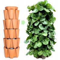 GreenStalk Patented Large 5 Tier Vertical Garden Planter with Patented Internal Watering System Great for Growing a Variety of Strawberries Vegetables Herbs & Flowers Classic Terracotta