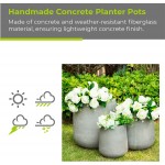 Kante RF2015022BCD-C80021 Round Set of 3 Sizes Outdoor Indoor Large Planter Pots Containers with Drainage Holes for Patio Balcony Backyard Living Room Natural Concrete Grey
