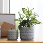 La Jolie Muse Ceramic Planter Set of 2 6.6 Inch Greece Style Embossed Flower Pot W  Drain Hole for Indoor W  Classic Scrolls Pattern Peacock Blue