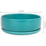 MyGift 8 Inch Turquoise Ceramic Indoor Plant Pot with Drainage Hole and Removable Drip Tray Round Succulent Planter