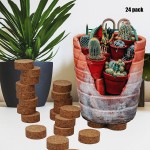 NSYOOMH Invisible Pot Feet Plant Riser planters for Outdoor Indoor Plants 24 Pack Non Irritating Odor Planter Feet Lifter Ideal Alternative to The Rubber Potrisers Pot Mats Large Heavy Stool