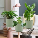 Planters for Indoor Plants 6 Pack 6.5 inch Plant Pot with Drainage Holes and Detachable Saucer Hemopow Garden Plastic Flower Pots for Orchid Succulents Cactus and All Indoor Plants Green