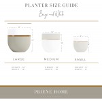 Priene Home | 12 inch Plant Pots with Drainage Holes Large Planter for Indoor and Outdoor Plants Concrete Flower Pot Beige & White with Gold Accent