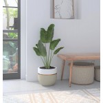 Priene Home | 12 inch Plant Pots with Drainage Holes Large Planter for Indoor and Outdoor Plants Concrete Flower Pot Beige & White with Gold Accent