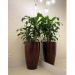 Resin Planter Indoor Outdoor Drainage Hole and Saucer Amsterdan Floridis Medium 16.14x25.59 in 14.76 Red Marble