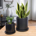 TIMEYARD Plant Pots Indoor Modern Planters with Drainage Hole and Tray Matte Black Ceramic Cylinder Planters 4in 6in for Flowers Succulents Mid Century Home Garden Decor Set of 2