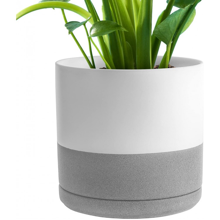 UMIAMOY 6inch Modern Cylinder Matte Ceramic Planter Pot with Drainage Hole and Saucer  Planter Pot for Indoor Outdoor Plants Flowers  White Gray