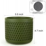 Vanavazon 5.5 Inch Cement Planter Indoor Plant Pot with Drainage Hole Concrete Flower Pots Decorative Pot for All House Plants Flowers Snakes and Succulents Green