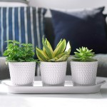 White Ceramic Herb Planter Pots POTEY 056401 3.8 Inch Modern Vintage-Style Hobnail Textured Planters with Drainage Hole for Indoor Plants Succulent 3 Pots & 1 Saucer Plants Not Included