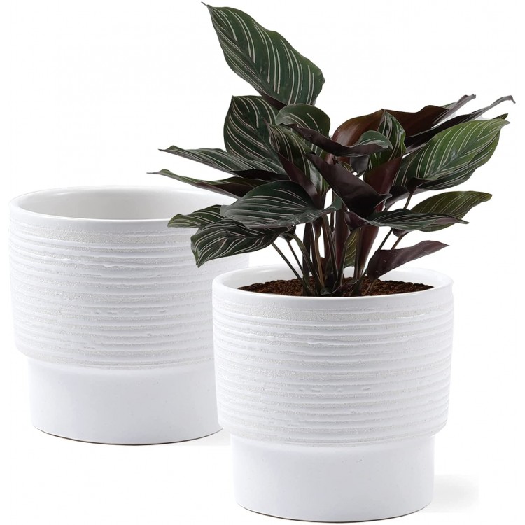 White Ceramic Planter Set of 2 5.5 Inch Plant Pots Indoor with Drainage Hole for Herbs Succulents Snake Plants Home Decor. Plants Not Included