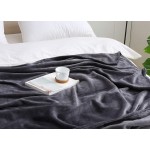 BEAUTEX Fleece Throw Blanket for Couch Sofa or Bed Throw Size Soft Fuzzy Plush Blanket Luxury Flannel Lap Blanket Super Cozy and Comfy for All Seasons Graphite 50" x 60"
