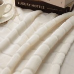 Bertte Plush Throw Blanket Super Soft Fuzzy Warm Blanket | 330 GSM Lightweight Fluffy Cozy Luxury Decorative Stripe Blanket for Bed Couch 50"x 60" Ivory White