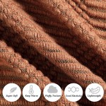 BLAGIC Rust Knit Throw Blanket with Tassel| Home Decor Blanket| Holiday Throw for Couch Bed| Wrap Shawl Scarf Lightweight Soft Cozy Fluffy Pineapple Textured 50" W x 60" L