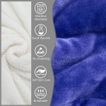 Blue Sherpa Fleece Blanket Throw Size Fuzzy Plush Flannel Blanket for Couch Sofa and Bed Microfiber Lightweight Reversible Soft Cozy Warm Luxury Bed Throw Blanket  50x60 Inches