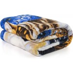 Super Soft Full Queen Size Plush Fleece Blanket by Jenny Newland 75" x 90" Kitten Collage