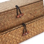 Flat Seagrass Storage Bins with Lid Small Wicker Basket Shelf Wardrobe Organizer Set of 2