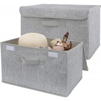 GRANNY SAYS Large Storage Bins with Lids 2-Pack Canvas Boxes for Storage Gray Closet Organizers and Storage