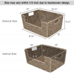StorageWorks Seagrass Storage Baskets Hand-Woven Open-Front Bins with Handles 13 ¾"L x 11"W x 5 ½"H 2-Pack