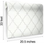 York Wallcoverings YS9102 Peek-A-Boo Graphic Trellis Wallpaper White Soft Taupe Grey