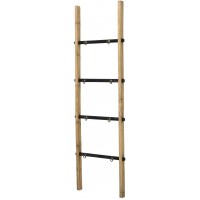 AQUILLA 65 Inch Wood Decorative Wall Ladders 4-Tier Leaning Ladder Shelf-Plant Stand with 8 Hooks Wooden Shelves for Living Room Home Office