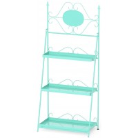 Mint Green Metal Ladder Shelf Planter Stand Flower Rack Bookshelf Home Organizer BlowN Ladder Shelf Decorative Ladder Decorative Shelves